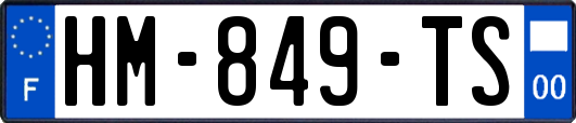 HM-849-TS