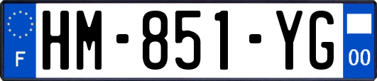 HM-851-YG