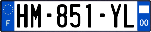 HM-851-YL