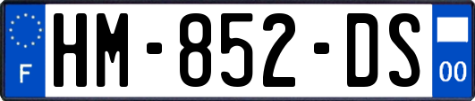 HM-852-DS
