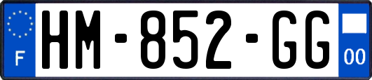 HM-852-GG