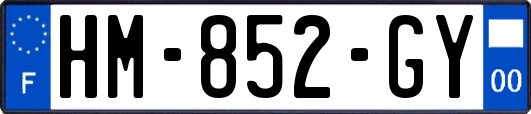 HM-852-GY