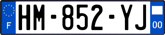 HM-852-YJ