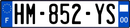 HM-852-YS