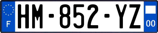 HM-852-YZ