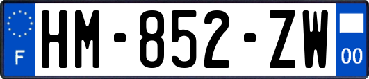 HM-852-ZW