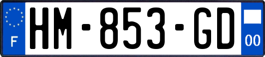 HM-853-GD