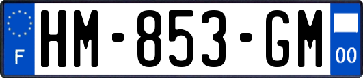HM-853-GM