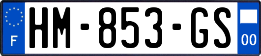 HM-853-GS