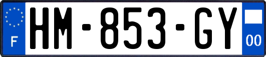 HM-853-GY