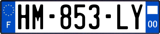 HM-853-LY