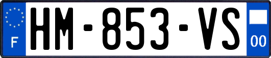 HM-853-VS
