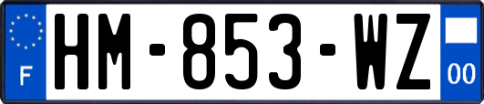 HM-853-WZ