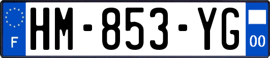 HM-853-YG