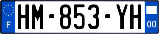 HM-853-YH