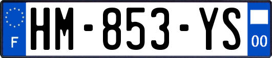HM-853-YS