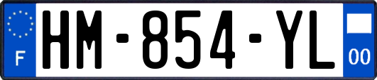HM-854-YL