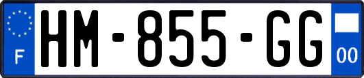 HM-855-GG