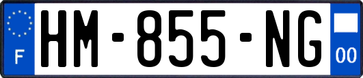 HM-855-NG