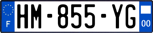 HM-855-YG