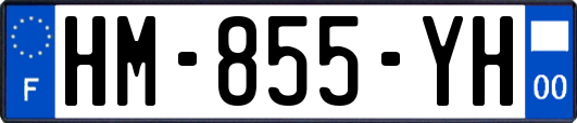 HM-855-YH