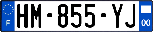 HM-855-YJ