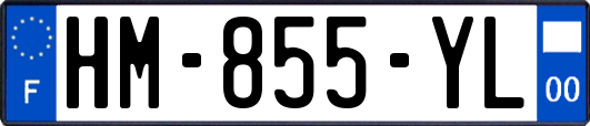 HM-855-YL