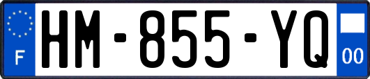 HM-855-YQ