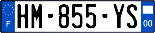 HM-855-YS