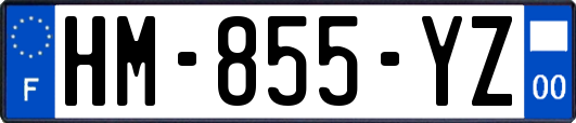 HM-855-YZ