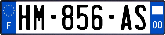 HM-856-AS