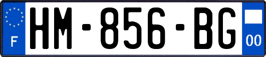 HM-856-BG