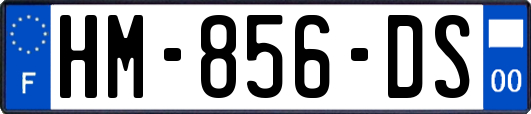 HM-856-DS