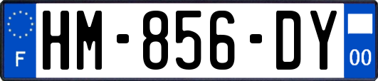HM-856-DY
