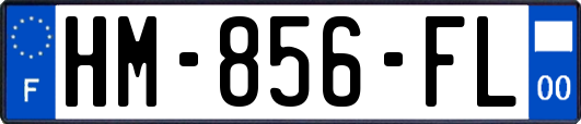 HM-856-FL