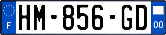HM-856-GD