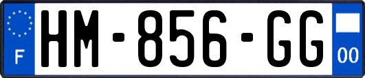 HM-856-GG