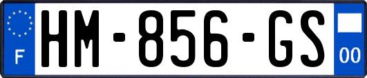 HM-856-GS