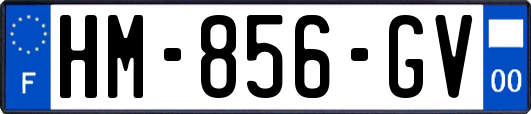 HM-856-GV