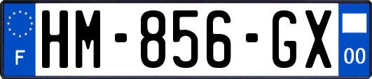 HM-856-GX