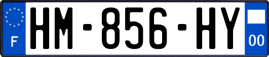 HM-856-HY
