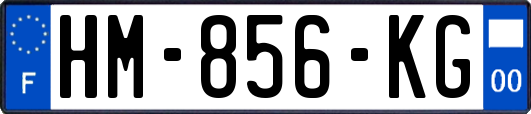 HM-856-KG