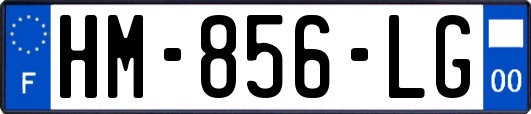 HM-856-LG
