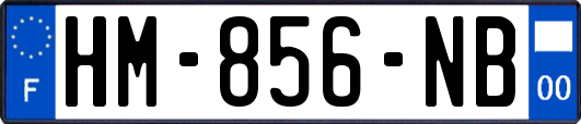 HM-856-NB