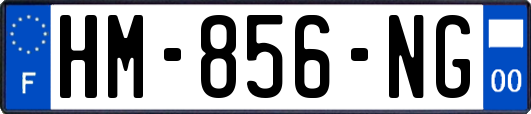 HM-856-NG