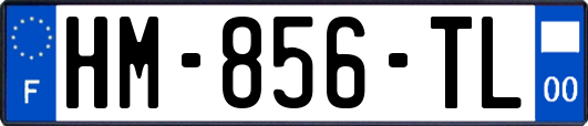 HM-856-TL