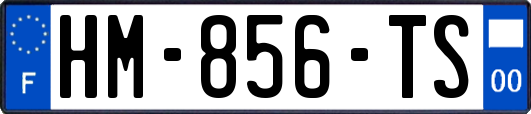 HM-856-TS