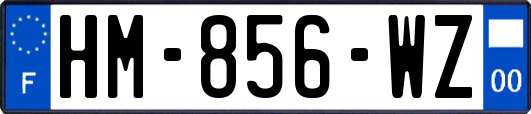 HM-856-WZ
