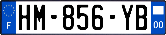 HM-856-YB