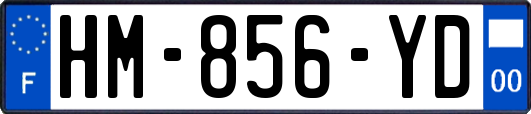 HM-856-YD